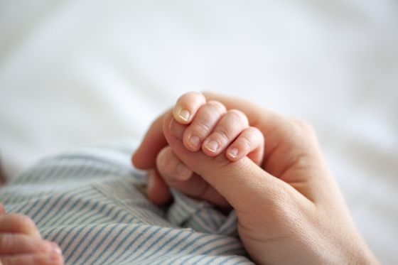 Adoption Requirements in North Carolina